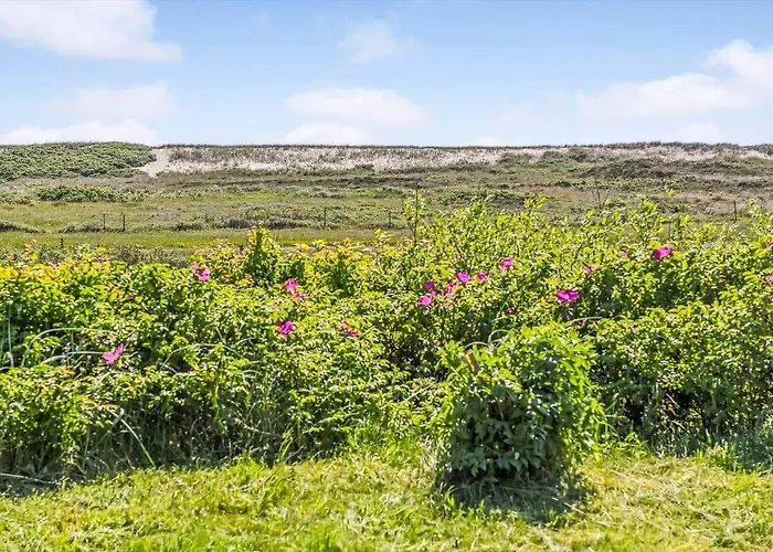 Bv329-blavand-hvidbjerg-strandvej-157 * Blåvand