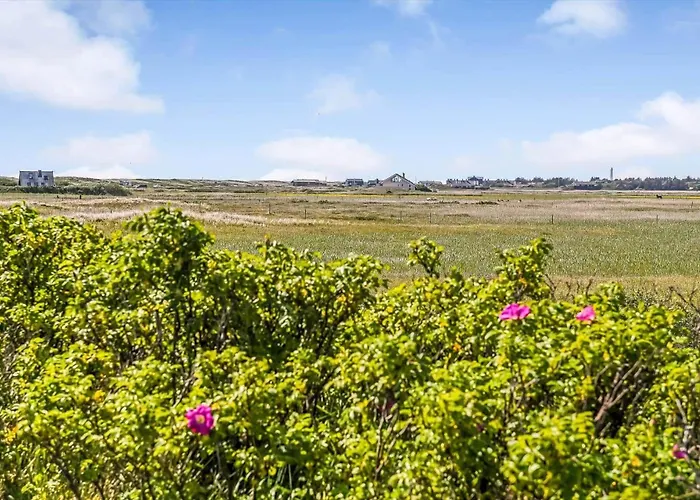 Bv329-blavand-hvidbjerg-strandvej-157 *