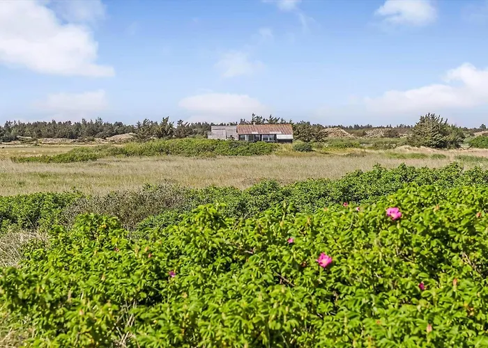 Bv329-blavand-hvidbjerg-strandvej-157 * Blåvand